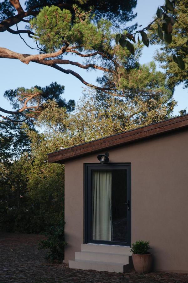 A Padaria Farmhouse Cinfaes Exterior photo
